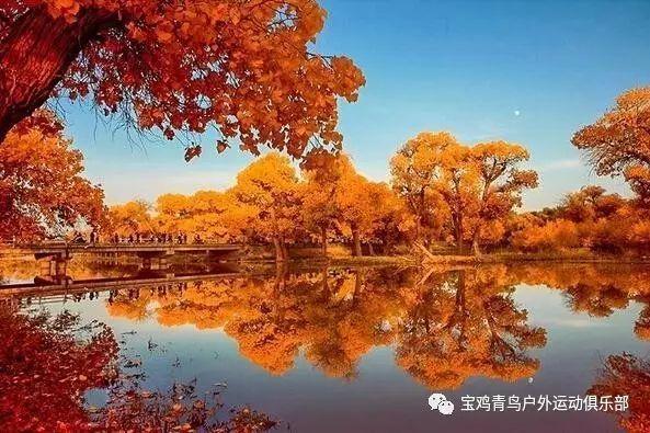 星战前线2